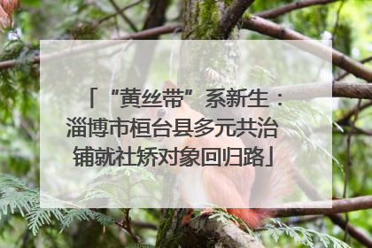 “黄丝带”系新生：淄博市桓台县多元共治铺就社矫对象回归路