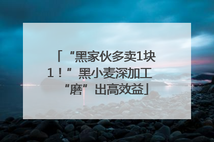 “黑家伙多卖1块1！”黑小麦深加工“磨”出高效益
