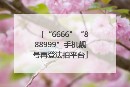 “6666”“888999”手机靓号再登法拍平台