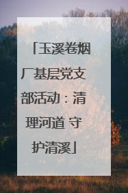 玉溪卷烟厂基层党支部活动：清理河道 守护清溪