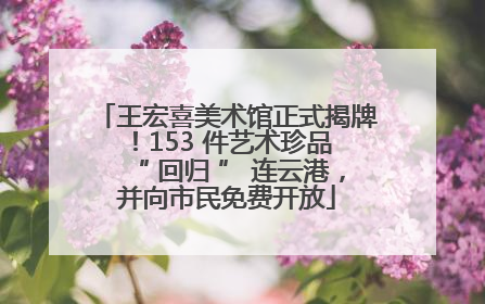 王宏喜美术馆正式揭牌！153 件艺术珍品 “ 回归 ” 连云港，并向市民免费开放