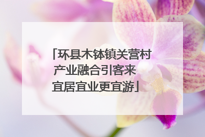 环县木钵镇关营村 产业融合引客来 宜居宜业更宜游