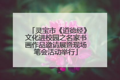 灵宝市《道德经》文化进校园之名家书画作品邀请展暨现场笔会活动举行