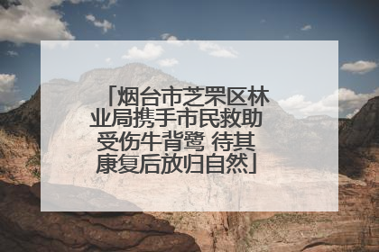 烟台市芝罘区林业局携手市民救助受伤牛背鹭 待其康复后放归自然