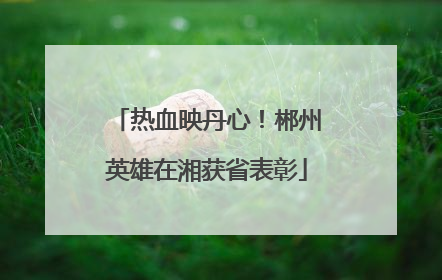 热血映丹心！郴州英雄在湘获省表彰