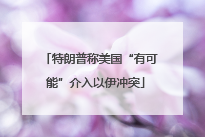 特朗普称美国“有可能”介入以伊冲突
