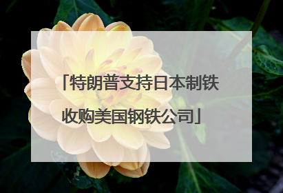 特朗普支持日本制铁收购美国钢铁公司