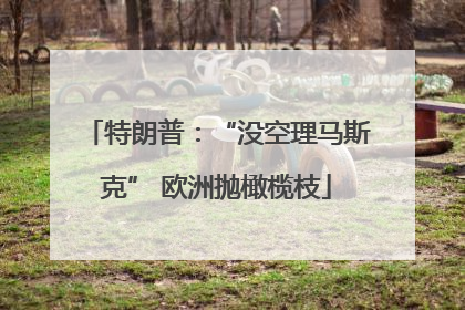 特朗普：“没空理马斯克” 欧洲抛橄榄枝