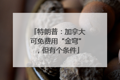 特朗普：加拿大可免费用“金穹”，但有个条件