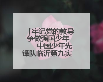 牢记党的教导 争做强国少年——中国少年先锋队临沂第九实验小学（北校区）第三次代表大会胜利召开