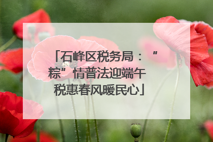 石峰区税务局：“粽”情普法迎端午 税惠春风暖民心