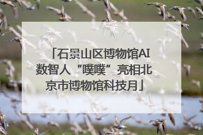 石景山区博物馆AI数智人“噗噗”亮相北京市博物馆科技月