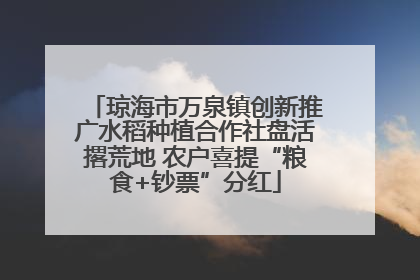 琼海市万泉镇创新推广水稻种植合作社盘活撂荒地 农户喜提“粮食+钞票”分红