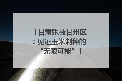 甘肃张掖甘州区：见证玉米制种的“无限可能”