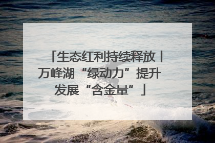 生态红利持续释放丨万峰湖“绿动力”提升发展“含金量”