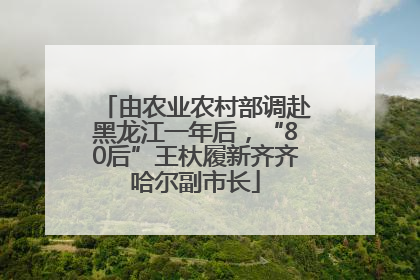 由农业农村部调赴黑龙江一年后，“80后”王杕履新齐齐哈尔副市长