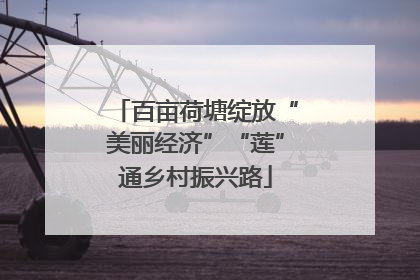 百亩荷塘绽放“美丽经济”“莲”通乡村振兴路