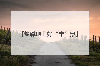 盐碱地上好“丰”景