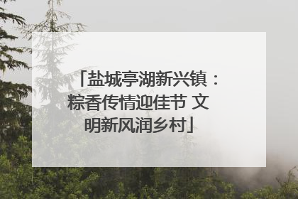 盐城亭湖新兴镇：粽香传情迎佳节 文明新风润乡村