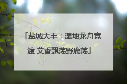 盐城大丰：湿地龙舟竞渡 艾香飘荡野鹿荡