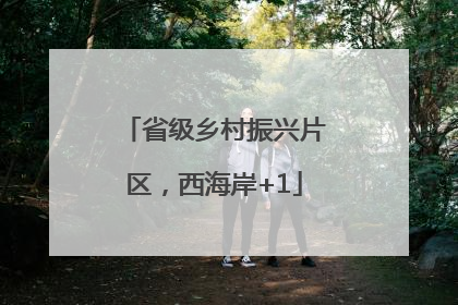 省级乡村振兴片区，西海岸+1