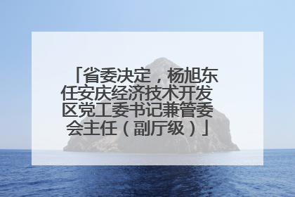 省委决定，杨旭东任安庆经济技术开发区党工委书记兼管委会主任（副厅级）