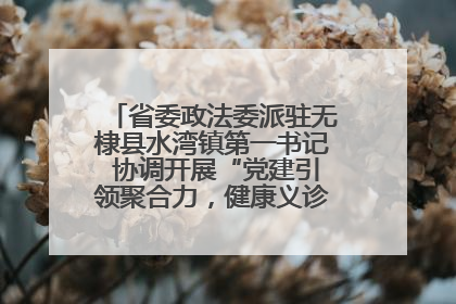 省委政法委派驻无棣县水湾镇第一书记 协调开展“党建引领聚合力，健康义诊惠乡亲”义诊活动