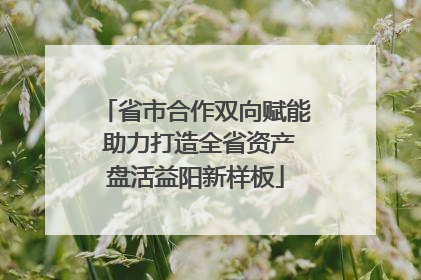 省市合作双向赋能 助力打造全省资产盘活益阳新样板