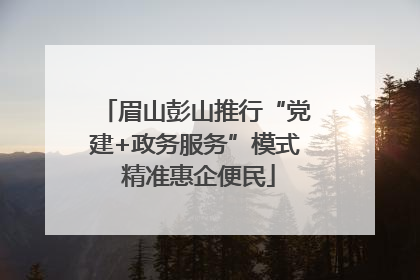 眉山彭山推行“党建+政务服务”模式 精准惠企便民