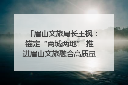 眉山文旅局长王枫：锚定“两城两地” 推进眉山文旅融合高质量发展｜文旅局长说