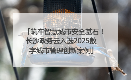 筑牢智慧城市安全基石！长沙政务云入选2025数字城市管理创新案例