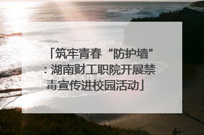 筑牢青春“防护墙”：湖南财工职院开展禁毒宣传进校园活动