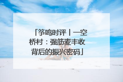 筝鸣时评丨一空桥村：强筋麦丰收背后的振兴密码