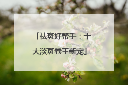 祛斑好帮手：十大淡斑卷王新宠