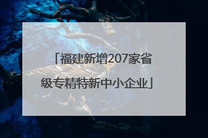 福建新增207家省级专精特新中小企业