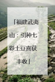 福建武夷山：引种七彩土豆喜获丰收