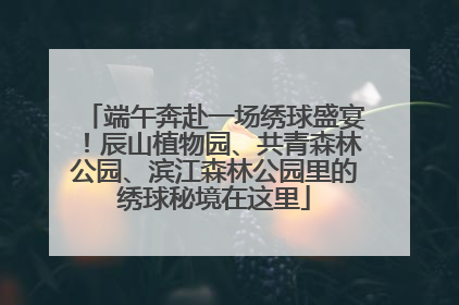 端午奔赴一场绣球盛宴！辰山植物园、共青森林公园、滨江森林公园里的绣球秘境在这里
