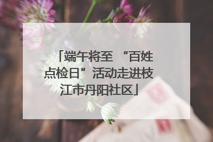 端午将至 “百姓点检日”活动走进枝江市丹阳社区