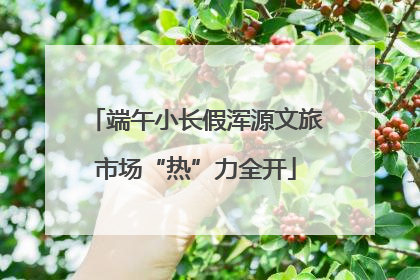 端午小长假浑源文旅市场“热”力全开