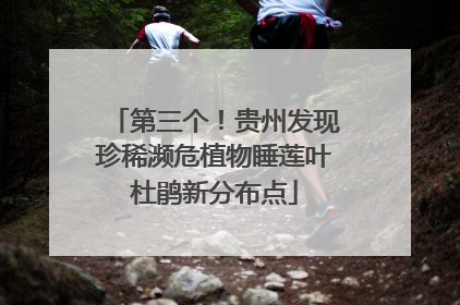 第三个！贵州发现珍稀濒危植物睡莲叶杜鹃新分布点