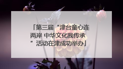 第三届“津台童心连两岸 中华文化我传承”活动在津成功举办