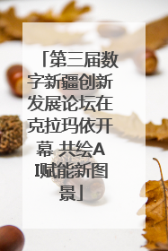第三届数字新疆创新发展论坛在克拉玛依开幕 共绘AI赋能新图景