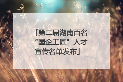 第二届湖南百名“国企工匠”人才宣传名单发布