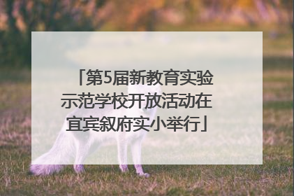 第5届新教育实验示范学校开放活动在宜宾叙府实小举行