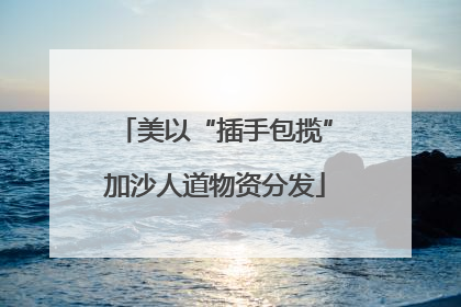 美以“插手包揽”加沙人道物资分发