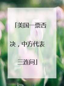 美国一票否决，中方代表三连问
