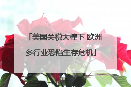 美国关税大棒下 欧洲多行业恐陷生存危机