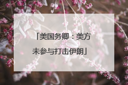 美国务卿：美方未参与打击伊朗