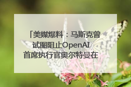 美媒爆料：马斯克曾试图阻止OpenAI首席执行官奥尔特曼在中东的AI交易