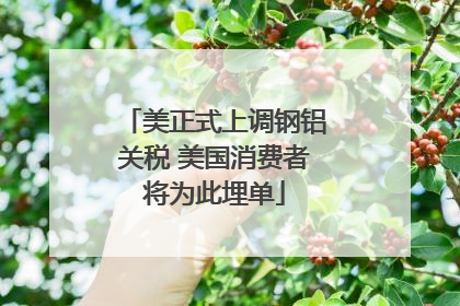 美正式上调钢铝关税 美国消费者将为此埋单